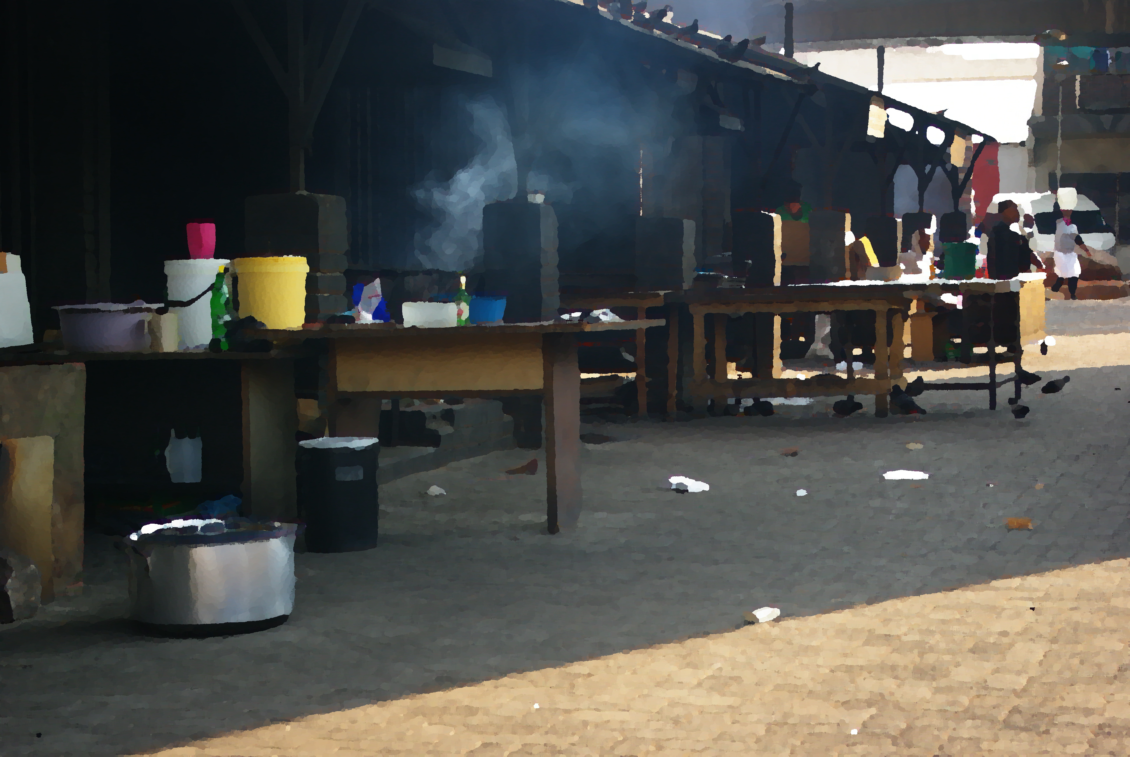 convert -paint 10 IMGP8582.JPG IMGP8582_paint_10.JPG