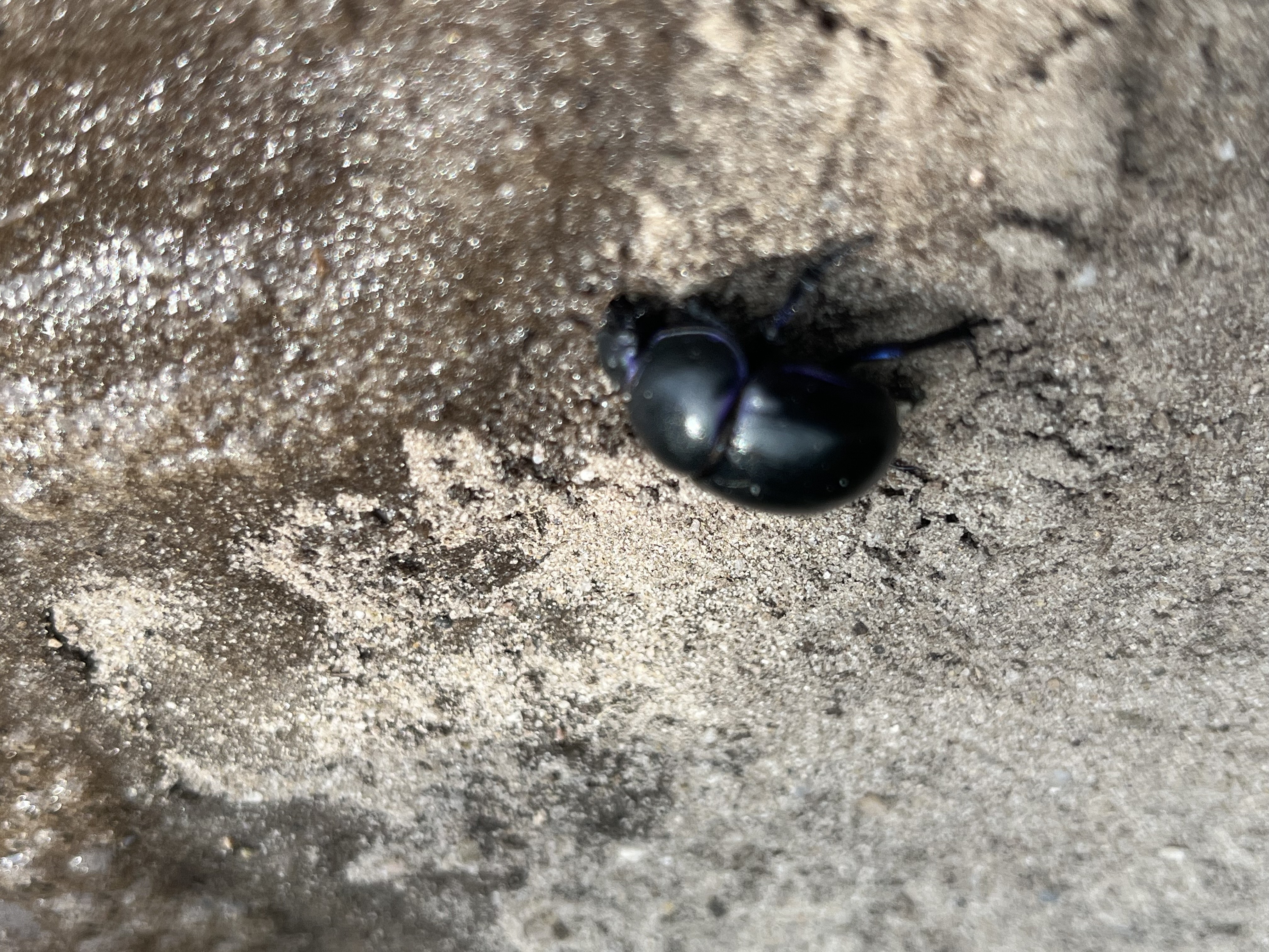 Sat Aug 23 11:46:27 AM CEST 2025