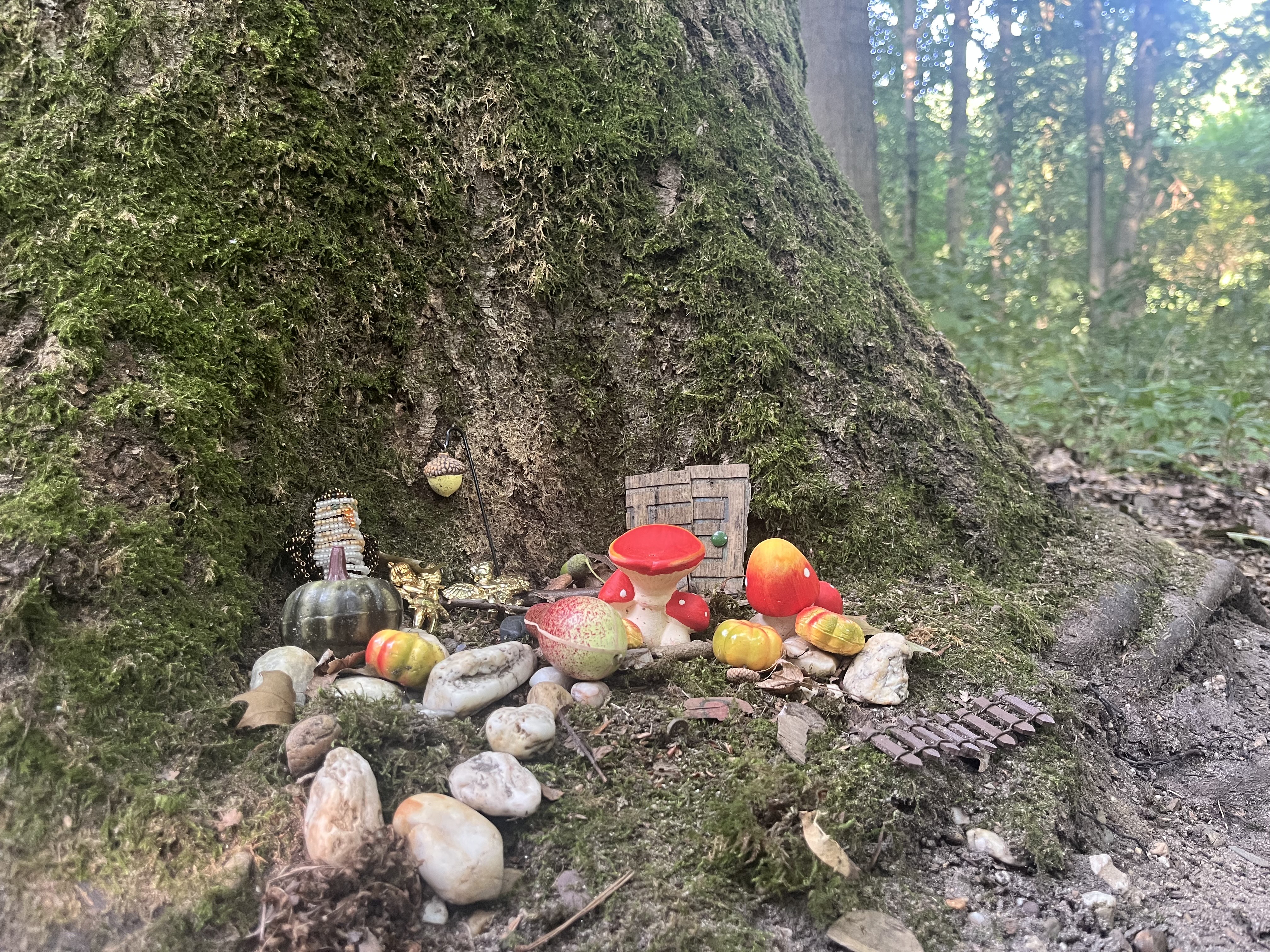 Sat Aug 23 11:46:28 AM CEST 2025