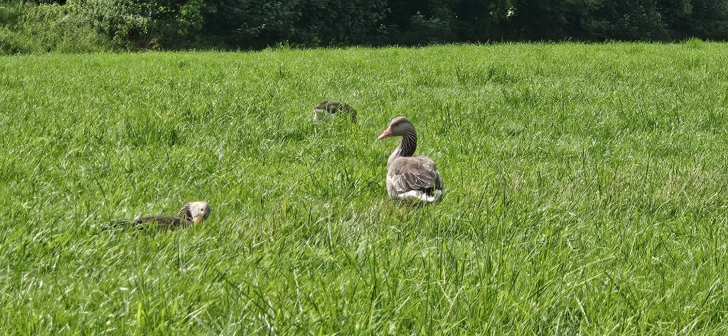 Sat Aug 23 11:46:30 AM CEST 2025