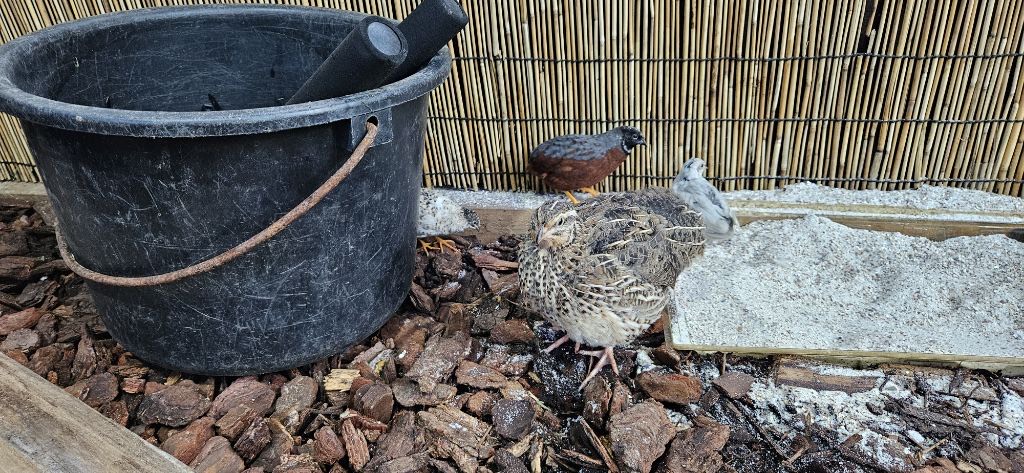 Sat Aug 23 11:46:30 AM CEST 2025