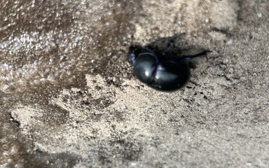 Sat Aug 23 11:46:27 AM CEST 2025