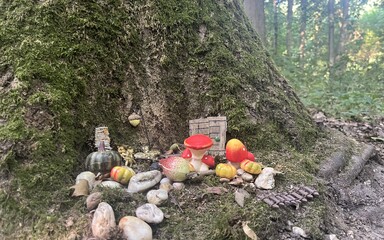 Sat Aug 23 11:46:28 AM CEST 2025