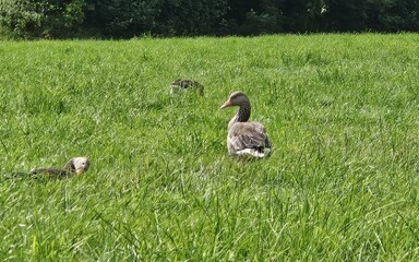 Sat Aug 23 11:46:30 AM CEST 2025